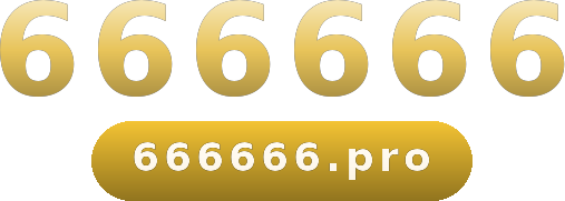 666666 logo